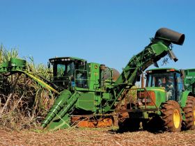 Setor Sucroalcooleiro terá estímulos do governo.