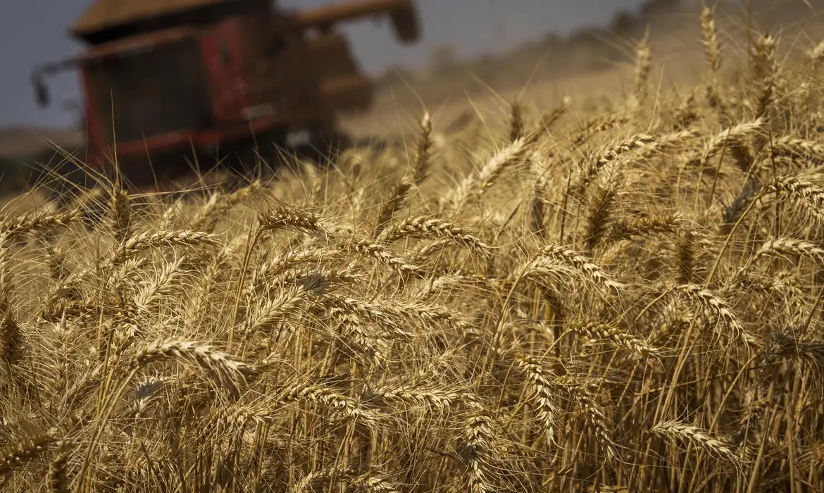 Economia | Produção de grãos terá crescimento recorde de 8,3%, prevê Conab